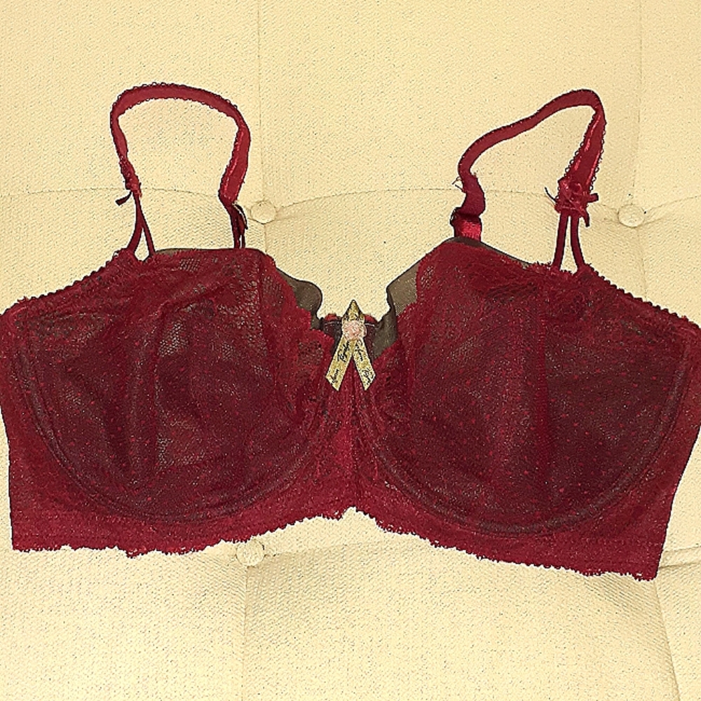 Fayreform Red lace Bra in 36E